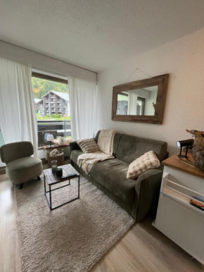 Le Carolaz Studio cosy et familial pour 4 personnes